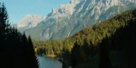Black Forest